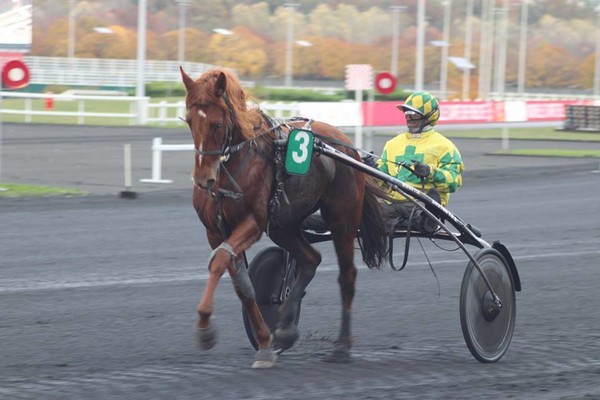 la jeune championne flicka lucaxelo